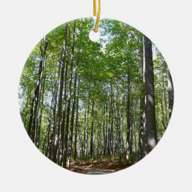 Centennial Wald Path II Ellicott City Maryland Keramik Ornament (Vorne)