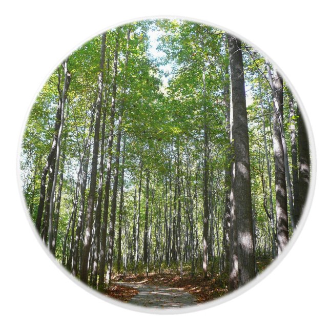 Centennial Wald Path II Ellicott City Maryland Keramikknauf (Vorderseite)