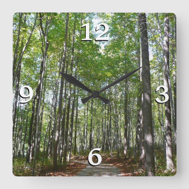 Centennial Wald Path II Ellicott City Maryland Quadratische Wanduhr (Vorderseite)