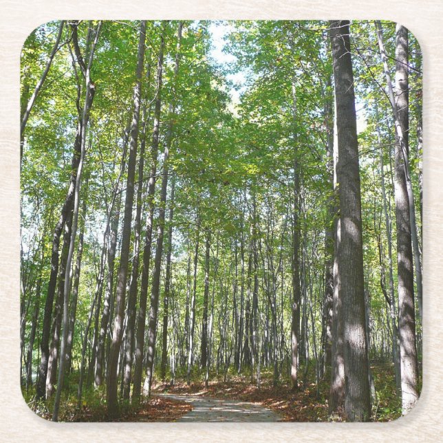 Centennial Wald Path II Ellicott City Maryland Rechteckiger Pappuntersetzer (Vorderseite)