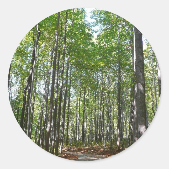 Centennial Wald Path II Ellicott City Maryland Runder Aufkleber (Vorderseite)