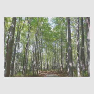 Centennial Wald Path II Ellicott City Maryland Seidenpapier