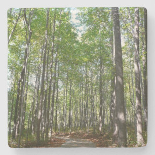 Centennial Wald Path II Ellicott City Maryland Steinuntersetzer