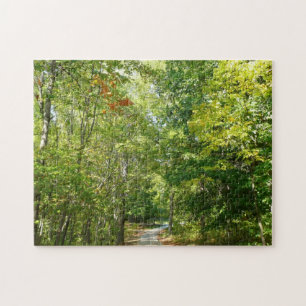 Centennial Wooded Path I Ellicott City Natur