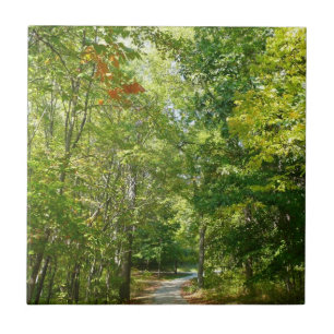 Centennial Wooded Path I Ellicott City Natur Fliese