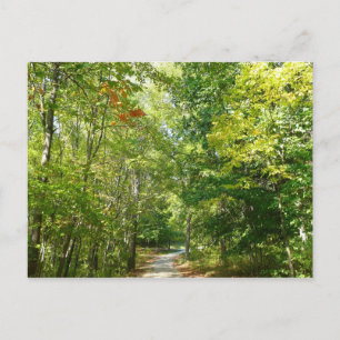 Centennial Wooded Path I Ellicott City Natur Postkarte