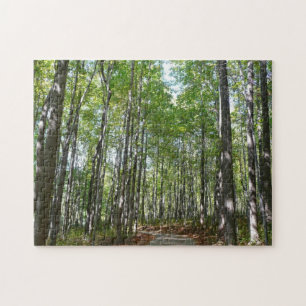 Centennial Wooded Path II Ellicott City Maryland
