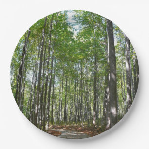 Centennial Wooded Path II Ellicott City Maryland Pappteller