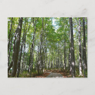 Centennial Wooded Path II Ellicott City Maryland Postkarte
