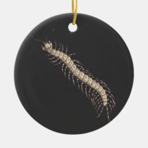 Centipede Ornament