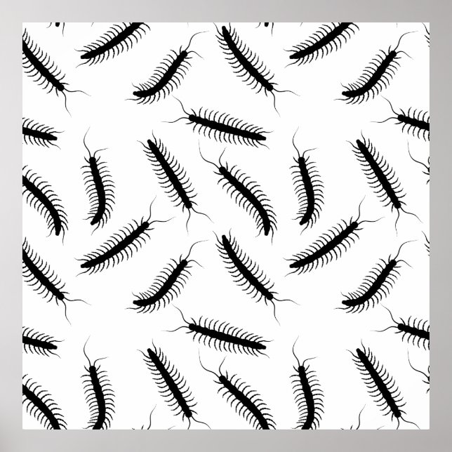 Centipedes Poster (Vorne)