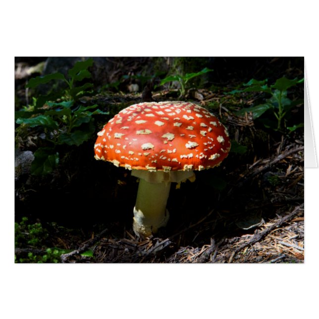 Central Cascades, État de Washington (Devant horizontal)