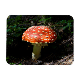 Central Cascades, Washington Staat Magnet