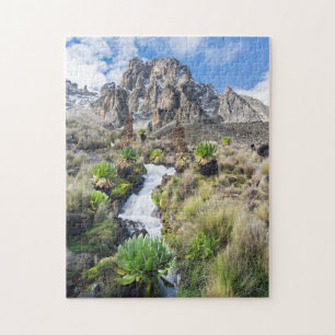 Central Mount Kenya Nationalpark