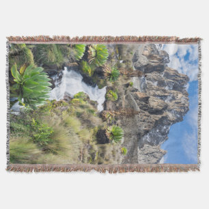 Central Mount Kenya Nationalpark Decke