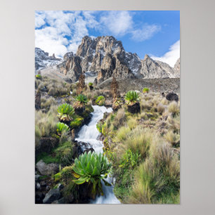 Central Mount Kenya Nationalpark Poster