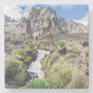 Central Mount Kenya Nationalpark Steinuntersetzer