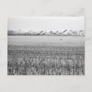 Central Oregon, nördlich von Maupin (Postkarte) Postkarte