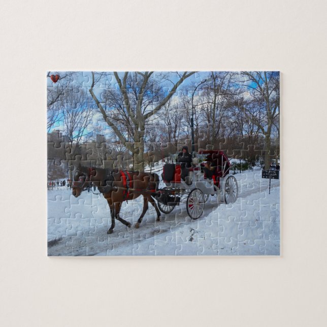 Central Park (Horizontal)