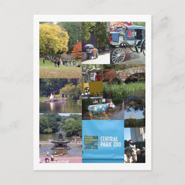 Central Park - Carte postale NYC (Devant)