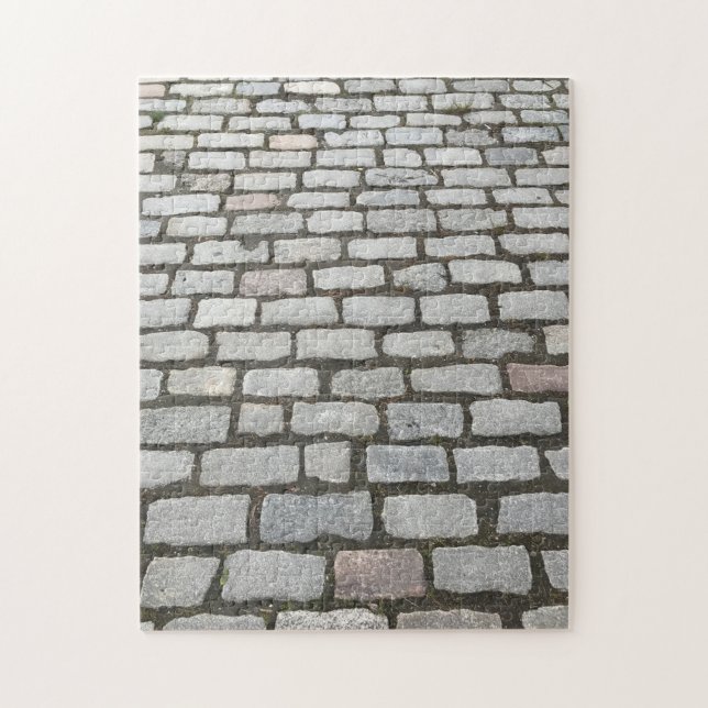 Central Park Cobblestones Stone Wege NYC Foto (Vertikal)