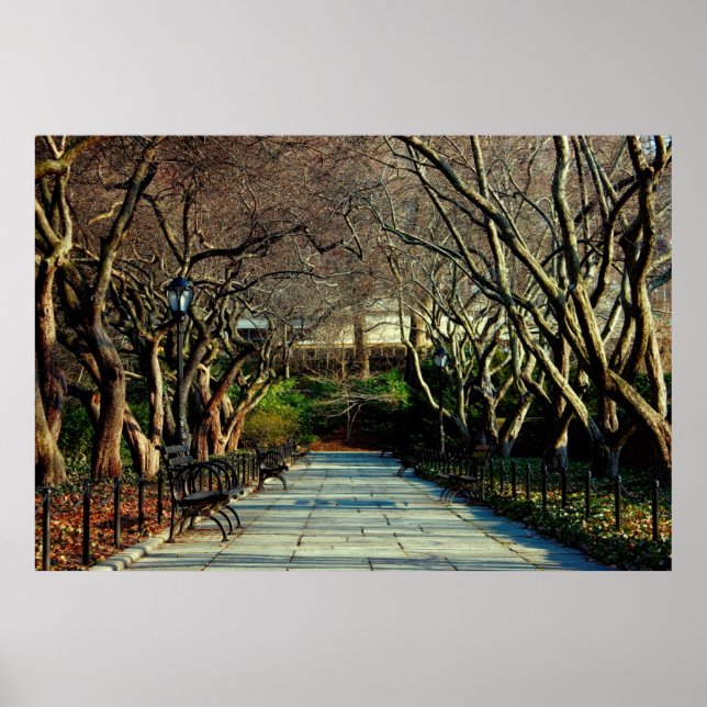 Central Park Conservatory Landschaft Foto Poster (Vorne)