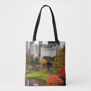 Central Park dans les sacs d'automne