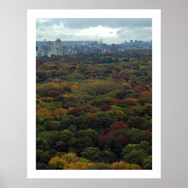 Central Park Fall Poster (Vorne)