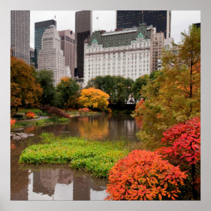 Central Park im Herbstplakat Poster