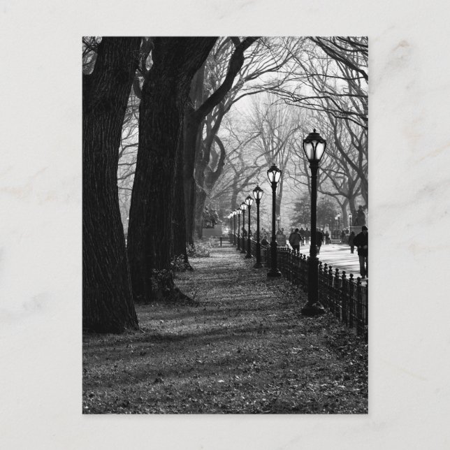 Central Park in New York City Postkarte (Vorderseite)