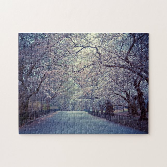 Central Park-Kirschblüten-Weg (Horizontal)