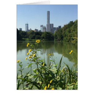 Central Park Lake Blume Skycraper New York NYC