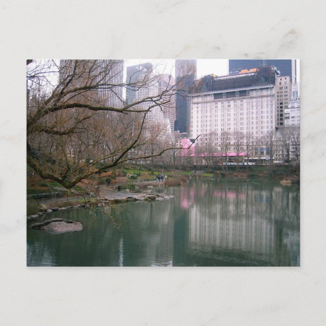 Central Park Lake New York City NYC Fotografy Postkarte (Vorderseite)