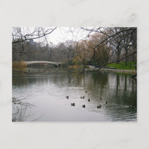 Central Park Lake NYC New York City Carte postale