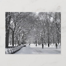 Central Park Mall B&W Postkarte