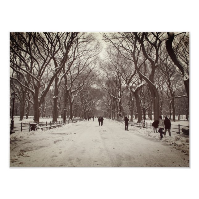 Central Park Mall Fotodruck (Vorne)