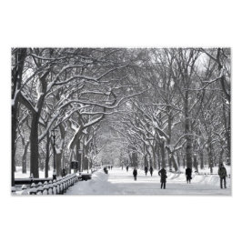 Central Park Mall Winter Szene Fotodruck