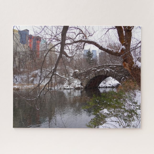 Central Park New York. (Horizontal)