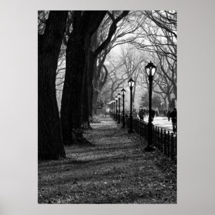 Central Park, New York City Poster