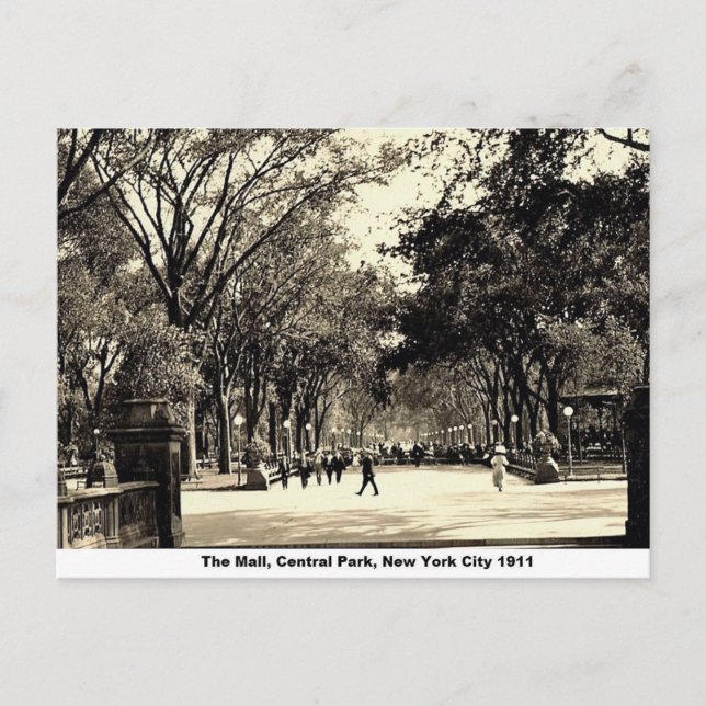 Central Park, New York City, Vintag Postkarte (Vorderseite)