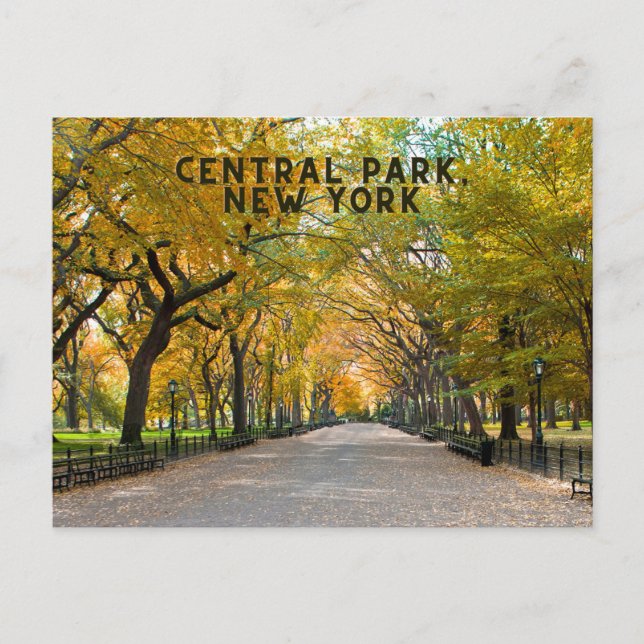 Central Park, New York Postcard Souvenir Postkarte (Vorderseite)