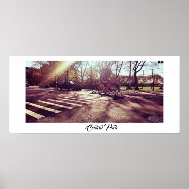 CENTRAL PARK NEW YORK POSTER (Vorne)