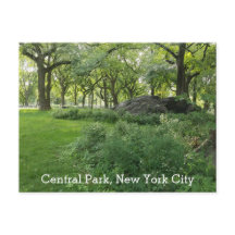 Central Park New York Summer Green Landschaftlich 