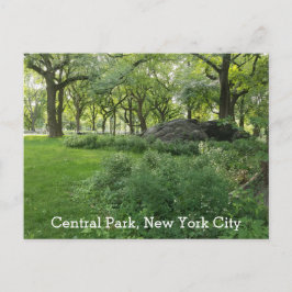 Central Park New York Summer Green Landschaftlich Postkarte