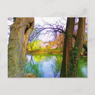 Central Park, NY Postkarte