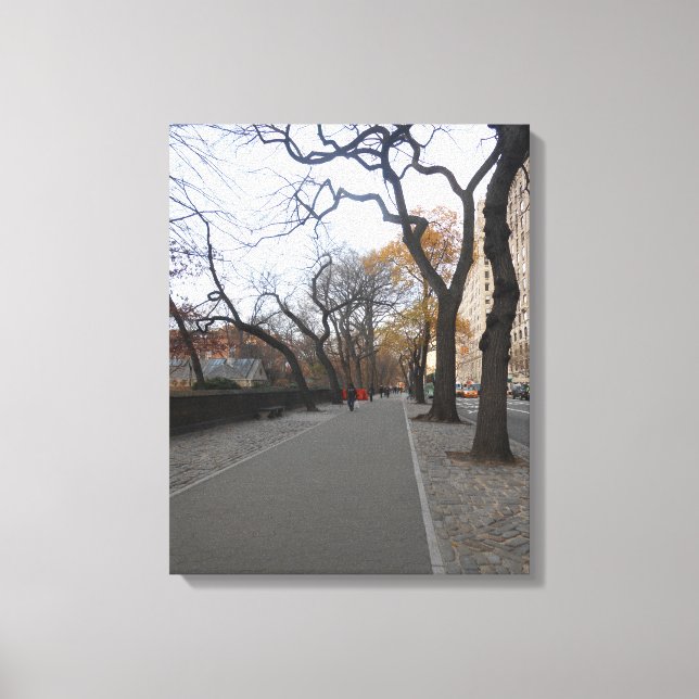 Central Park. NYC Leinwanddruck (Vorderseite)
