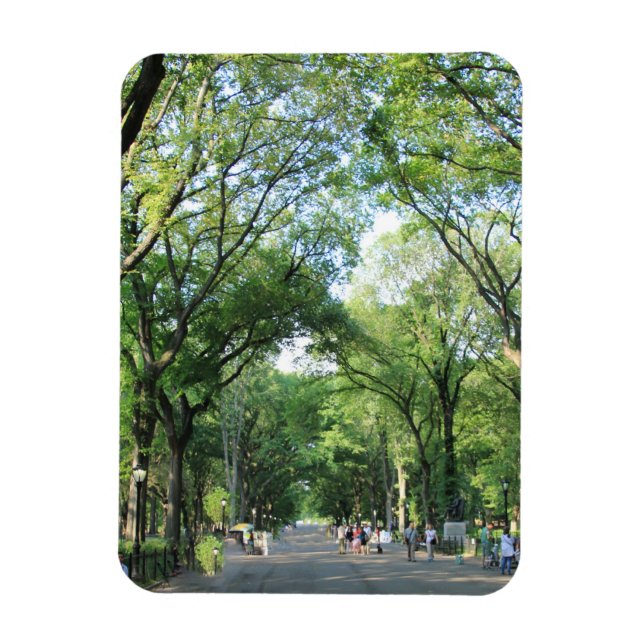 Central Park: Poet's Walk im Sommer Magnet (Vertikal)