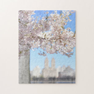 Central Park Reservoir Spring Cheroms NYC