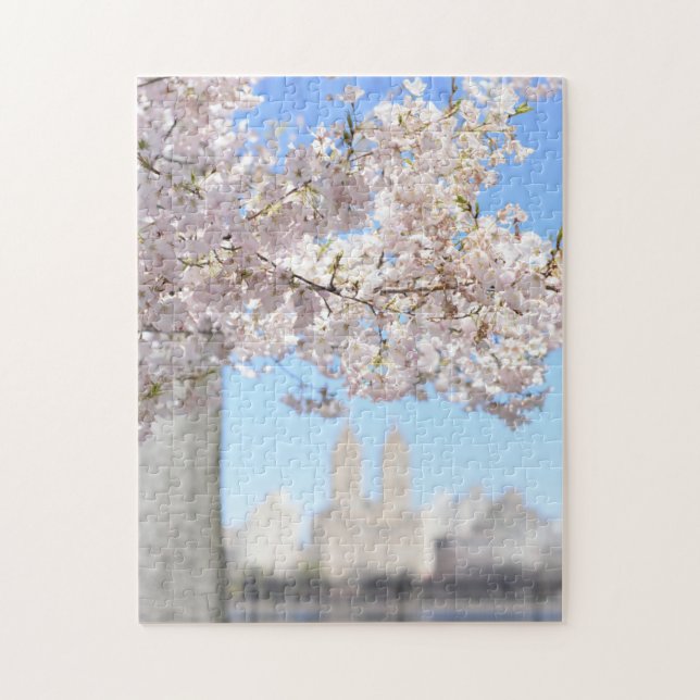 Central Park Reservoir Spring Cheroms NYC (Vertikal)