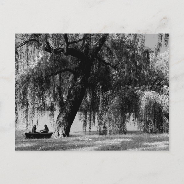 Central Park Rowboats Postkarte (Vorderseite)